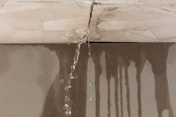 Professional Water Damage Inspection technician working in Jacksonville, TX